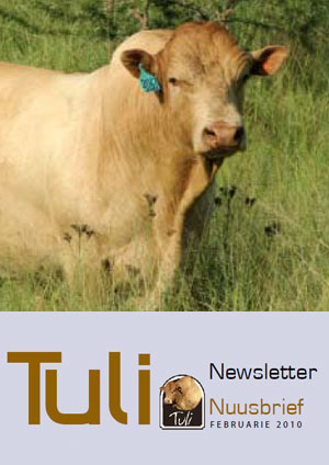 Tuli Cattle 2010 Newsletter