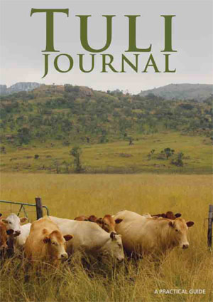 Tuli Cattle 2011 Journal