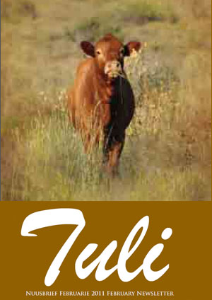 Tuli Cattle 2011 Newsletter