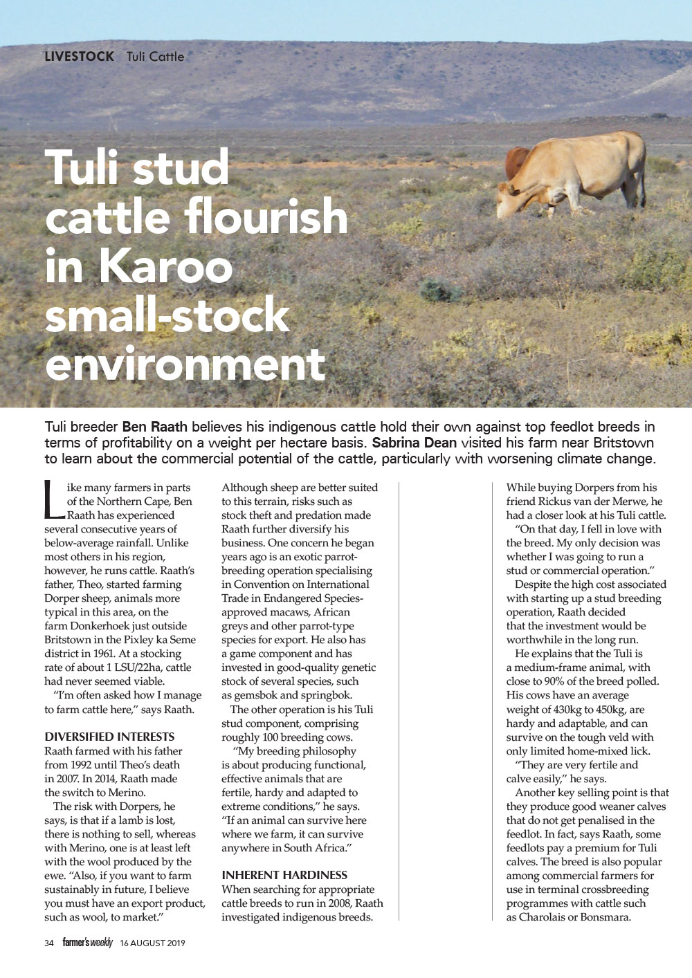 Tuli Stud Cattle Flourish in Karoo 