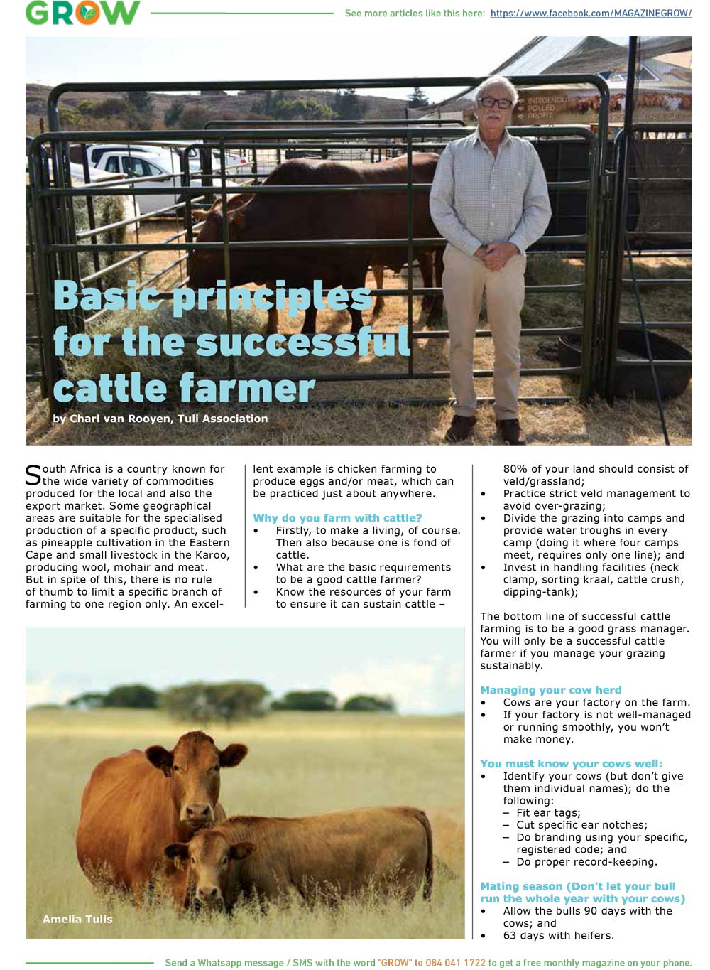 Basic principles for the successful cattle farmer