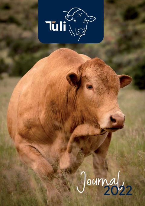 Tuli Cattle 2022 Journal