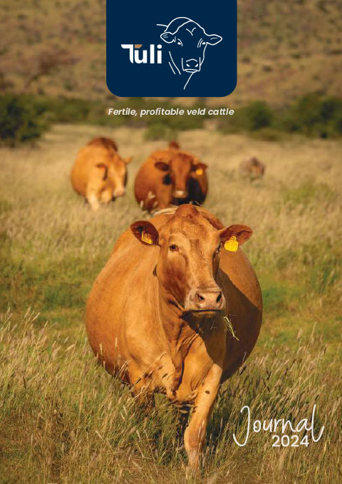 Tuli Cattle 2024 Journal