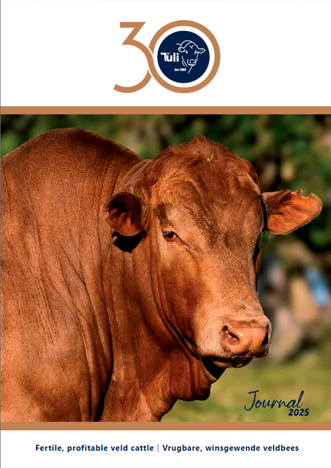 Tuli Cattle 2025 Journal