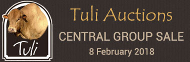 Central Tuli Group Sale
