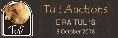 Eira Tuli's