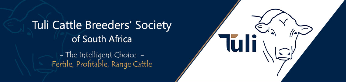 Tuli Cattle Breeders Society of South Africa | Tuli Cattle Photos
