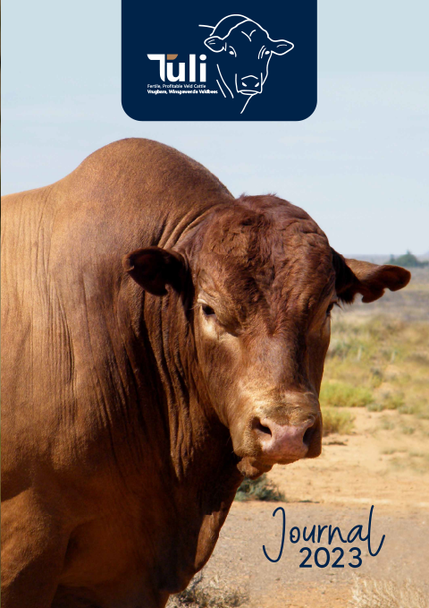 Tuli Cattle 2023 Journal