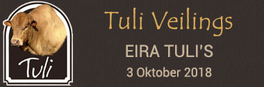 Eira Tuli's