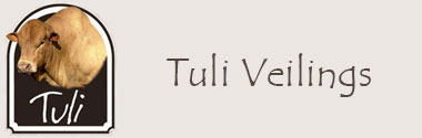 Tuli Symposium 